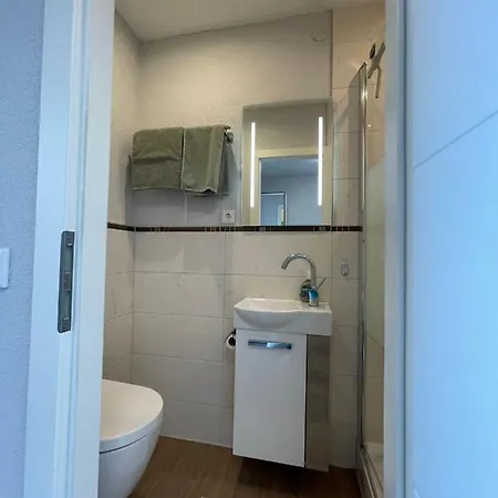 Mit Parkplatz 公寓 巴特塞京根